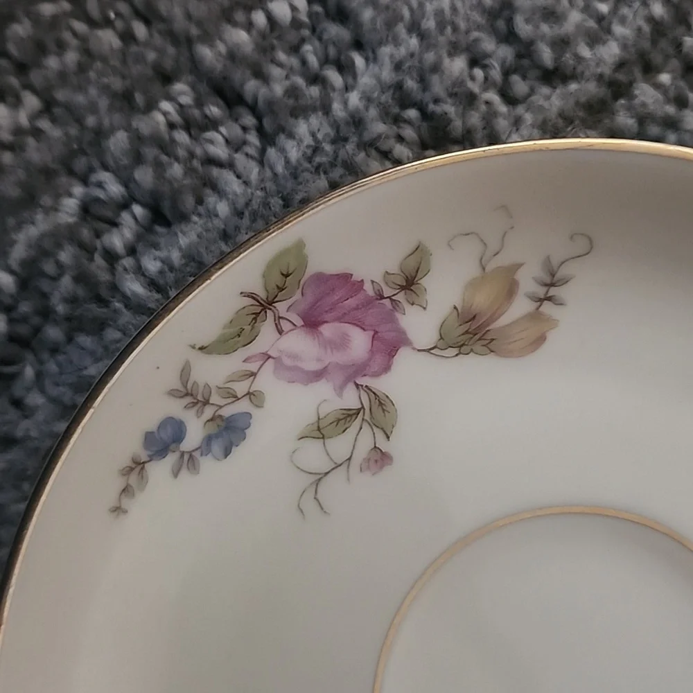 H&C Co. Selb Bavaria Germany Heinrich Teacup And Saucer,  Cream Color